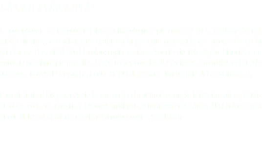 LA COLPOSCOPIA La colposcopia es un procedimiento ginecológico que consiste en la exploración del cuello uterino. Se realiza, para evaluar a la paciente con resultados anormales en la prueba de Papanicolaou. El colposcopio es una especie de telescopio binocular de enfoque próximo que permite al médico ver con detalle regiones anormales del cuello uterino, a través de la vagina, lo que se puede extraer una biopsia del área anormal. Para visualizar las paredes de la vagina y del cuello uterino, se introduce un espéculo. Su objetivo es diagnosticar lesiones malignas, e invasoras del cáncer. Una colposcopia puede detectar el cáncer cervical. La colposcopia es indolora. 