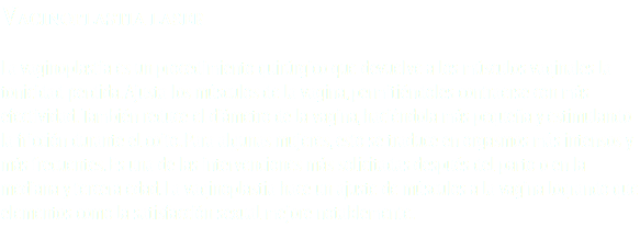 Vaginoplastia laser La vaginoplastia es un procedimiento quirúrgico que devuelve a los músculos vaginales la tonicidad perdida. Ajusta los músculos de la vagina, permitiéndoles contraerse con más efectividad. También reduce el diámetro de la vagina, haciéndola más pequeña y estimulando la fricción durante el coito. Para algunas mujeres, esto se traduce en orgasmos más intensos y más frecuentes. Es una de las intervenciones más solicitadas después del parto o en la mediana y tercera edad. La vaginoplastia hace un ajuste de músculos a la vagina logrando que elementos como la satisfacción sexual mejore notablemente. 
